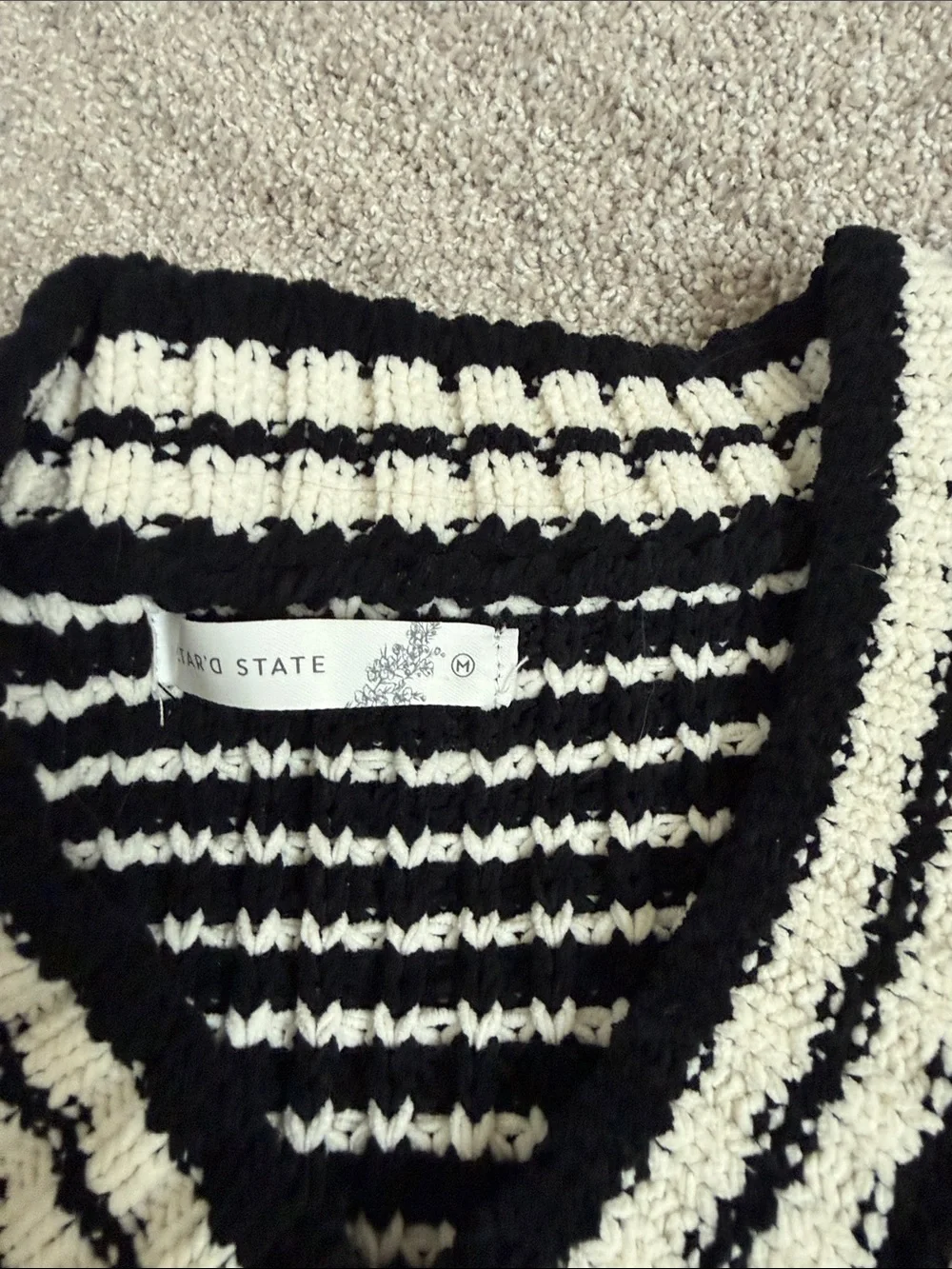 Altar'd State Black & White Striped V-Neck Sweater Vest